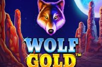 Wolf Gold